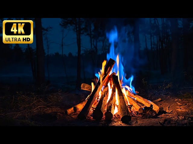 🔥 The Best Burning Fireplace Ambiance with Relaxing Crackles & Glowing Logs for Christmas UHD 4K V1