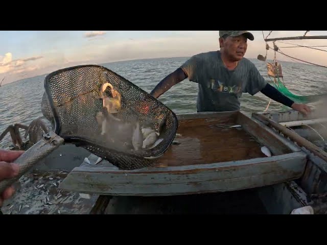 South Texas Shrimping #161 Tôm Nam Texas