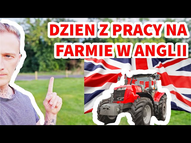 DZIEN Z PRACY NA FARMIE W WIELKIEJ BRYTANII, Polacy w Anglii #anglia #praca #farma