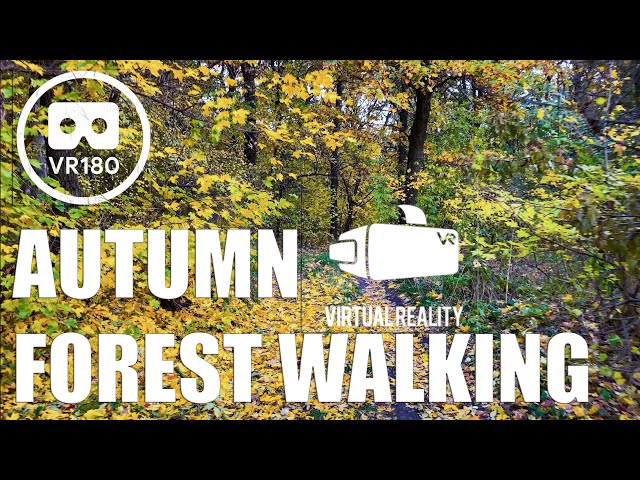 #180VR WALKING IN SHERWOOD FOREST | 4K immersive Virtual Forest Walk along trail | Relax Music