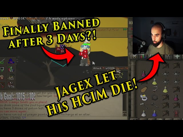 Jagex Has Some Serious Anti-Cheat Problems in Oldschool Runescape