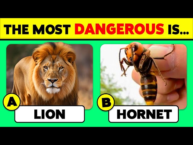 🧠 How Good Is Your Knowledge of ANIMALS? 🦁🐘✅ 50 Animals Knowledge Trivia Quiz