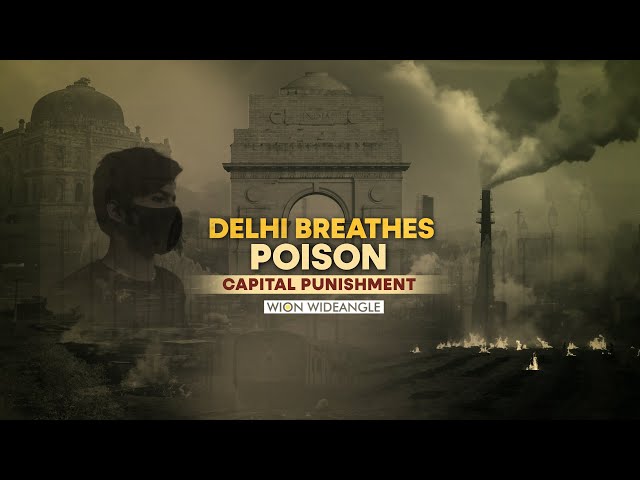 Delhi Air Pollution Crisis: Delhi Breathes Poison: Capital Punishment | WION Wideangle