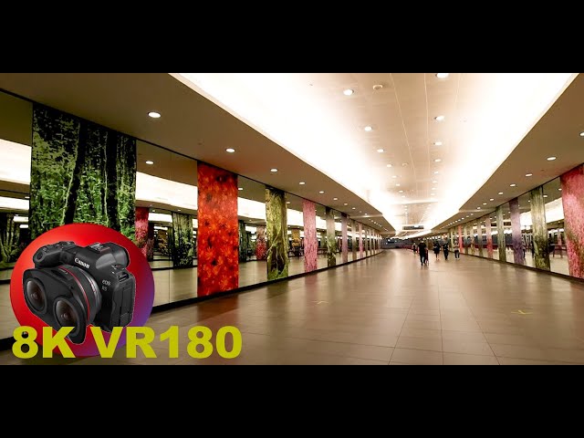 MRT SINGAPORE RAPID TRANSIT SYSTEM IS AMAZING subway train 3D 8K/4K VR180 (Travel Videos/ASMR/Music)