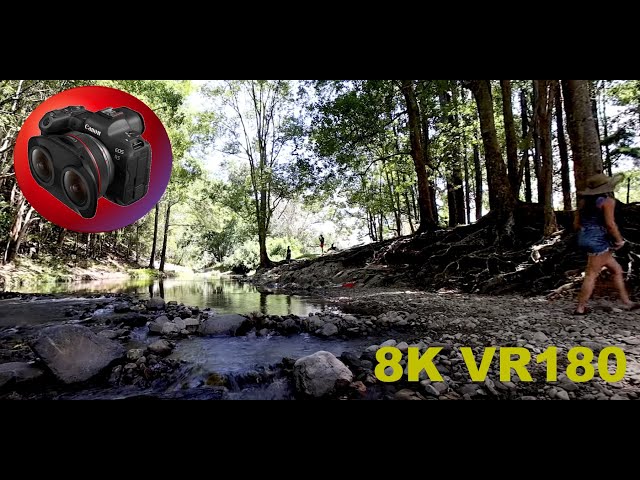 VR180 8K ROCK POOLS Currumbin Valley Billabong River & slide loved by locals 3D (Travel//ASMR/Music)