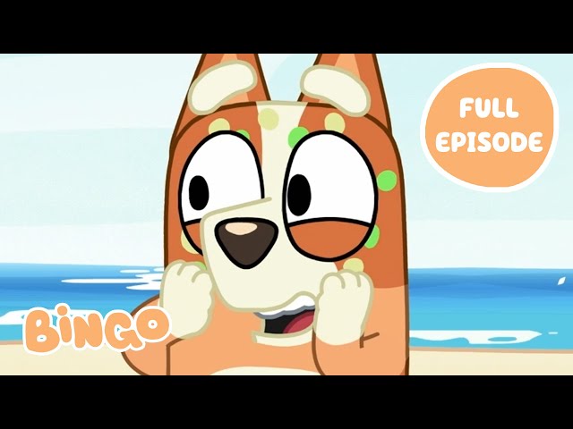 Bingo at the Beach! 🏝️🧡 | The Beach - Bluey Full Episode | Bingo - Official Channel