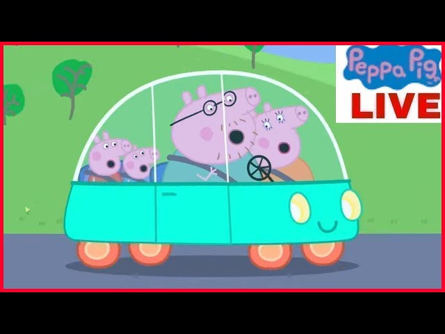 🔴 LIVE | Nonstop Peppa Pig Livestream - Join the Fun 24/7! 🐷🎉 |