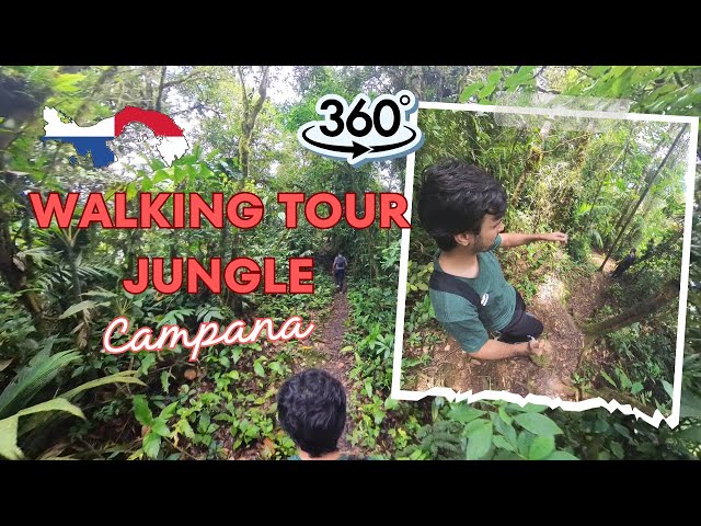 Cerro Campana 360 VR: Experience walking in the Mountain Jungle Part 2