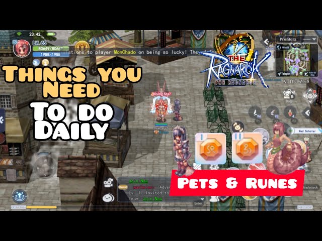 THINGS YOU NEED TO DO DAILY ON THIS NEW UPDATE | PET AND RUNES | DAY 9 PROGRESS | THE RAGNAROK SEA