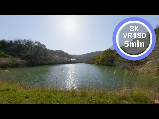 5 Min Meditation Let's feel the sun and wind VR180 8K Binaural ASMR