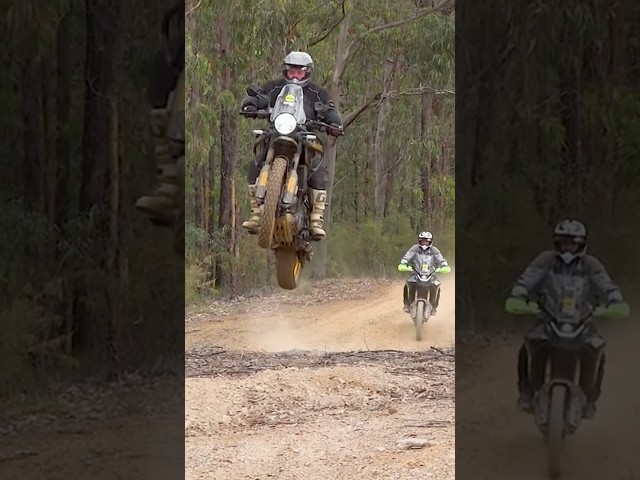 Himalayan 450 vs CFMOTO 450 comparison