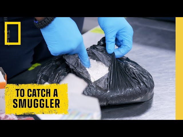 🔴 LIVE: Cocaine, Contraband, and Cartel Money: To Catch a Smuggler | S3 FULL EPISODES | @NatGeo