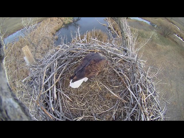 Fort St. Vrain Eagles, Top Camera View