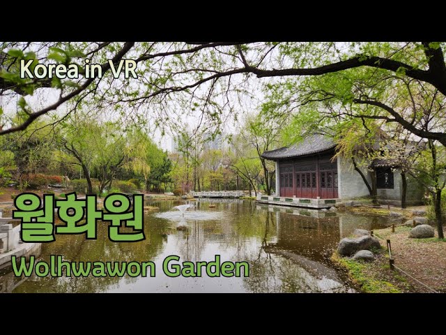 [8K VR180] 수원 효원공원 월화원 - Wolhwawon Garden in Hyowon Park of Suwon