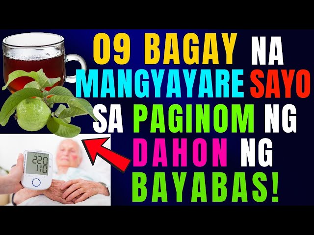 Ang Kapangyarihan ng Dahon ng Bayabas: Solusyon sa 9 na Karaniwang Sakit!