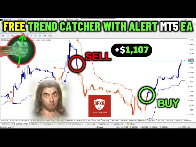 🤑MT5/MQL5 FREE Trend Catcher With Alert Indicator EA/ROBOT In MQL5 [PART 317] (Official Video) #mql5