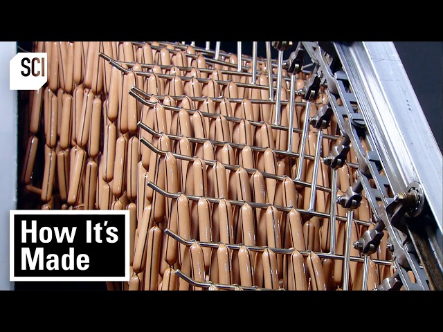 Fan Favorite: Hot Dogs | How It's Made | Science Channel