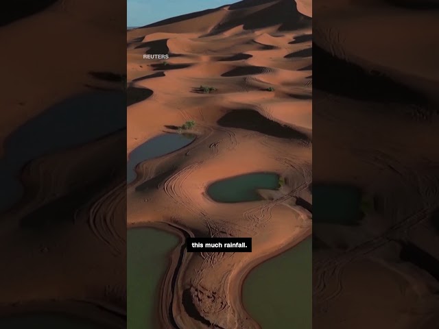 New drone footage reveals rare flooding in Sahara