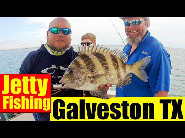 Jetty Fishing Galveston Texas | How to Fish for Sheepshead