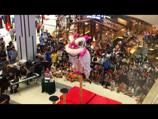 Best Acrobatic Lion dance 2024 by Do Cong Tuong | Aeon Mall Binh Duong Lion dance Award