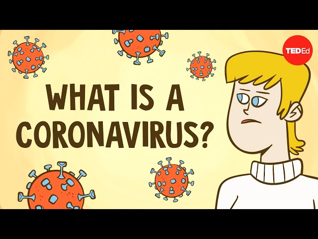 What is a coronavirus? - Elizabeth Cox