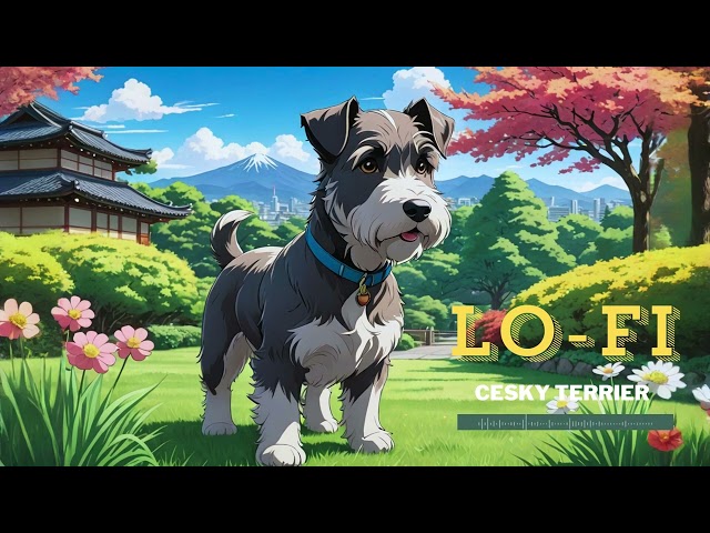 [Longplay LOFI] Cesky Terrier Vibes - Lofi Beats for Uplifting and Inspiring Moments | Study, Relax