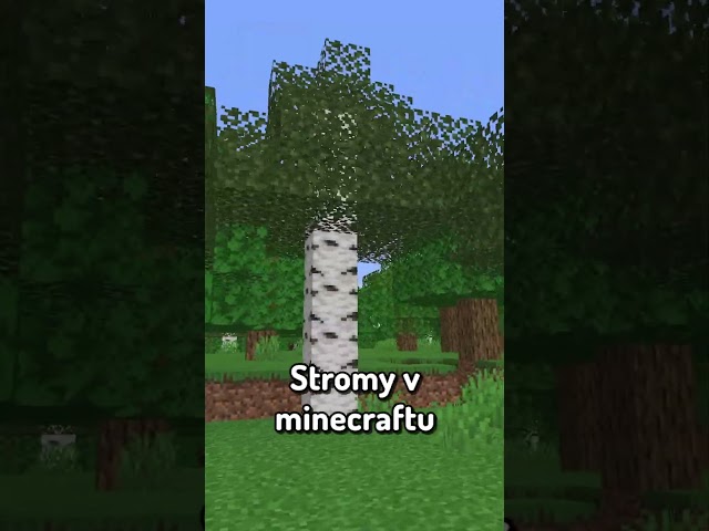 Jak udělat Minecraft REALISTICKÝ