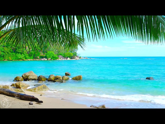 🌴 Tropical Beach Ambience on a Island in Thailand with Ocean Sounds For Relaxation & Holiday Feeling