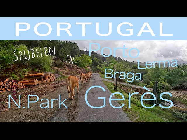 Raodtrip Portugal , Porto, Braga, Park Gerès, Lerma -5-