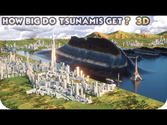 TSUNAMI Height Comparison (3D)