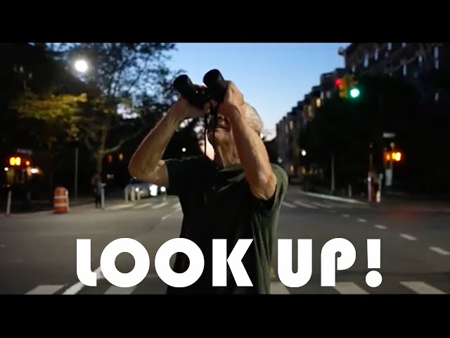 Look Up! A short film