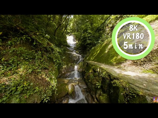 5 Min Meditation Waterfall cascading from afar VR180 8K Binaural ASMR