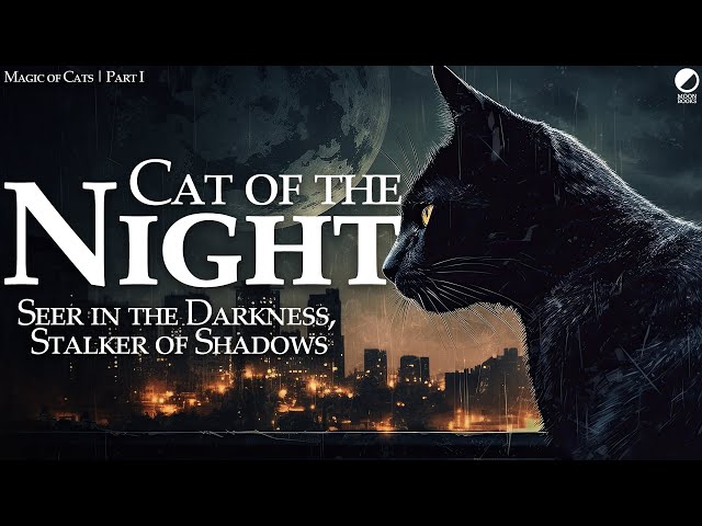 Cat of the Night: The Seer in the Darkness and Stalker of Shadows | The Magic of Cats | Part 1