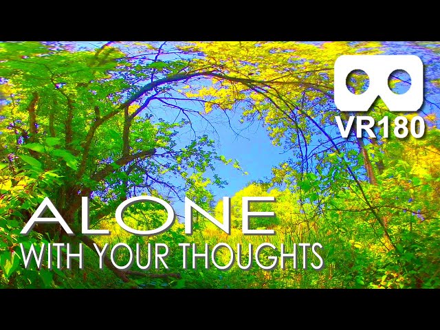 Alone With Your Thoughts: Be Still For 10 Minutes In Virtual Reality / VR180