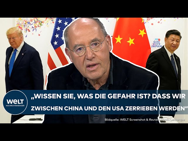 TRUMP WINS US ELECTION: Gregor Gysi Warns 'Our Economic Independence Is at Stake