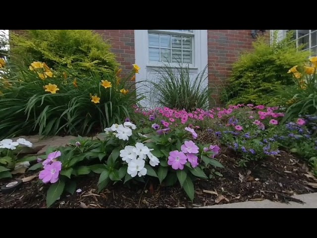 Flowers at the University of Oklahoma (3D 180)