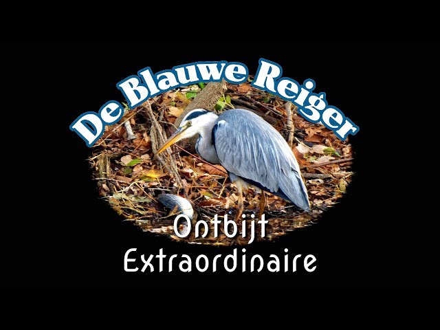 Extraordinair reiger ontbijt