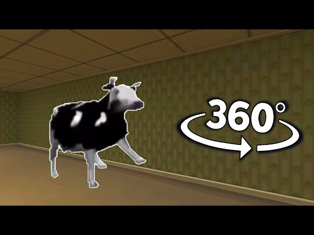 Dancing Polish Cow Chase You In Backroom But It's 360 video