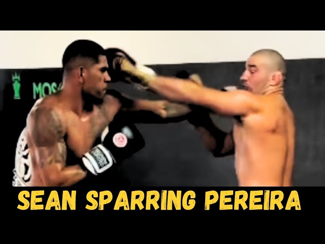 Sean Strickland Has Sparring Session With Alex Pereira...