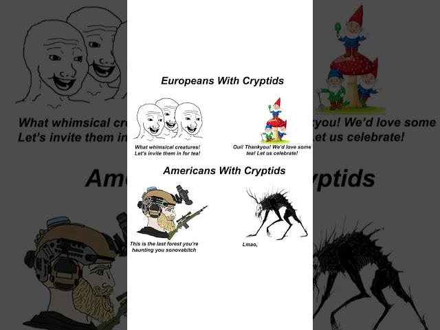 USA vs Europe Memes 3