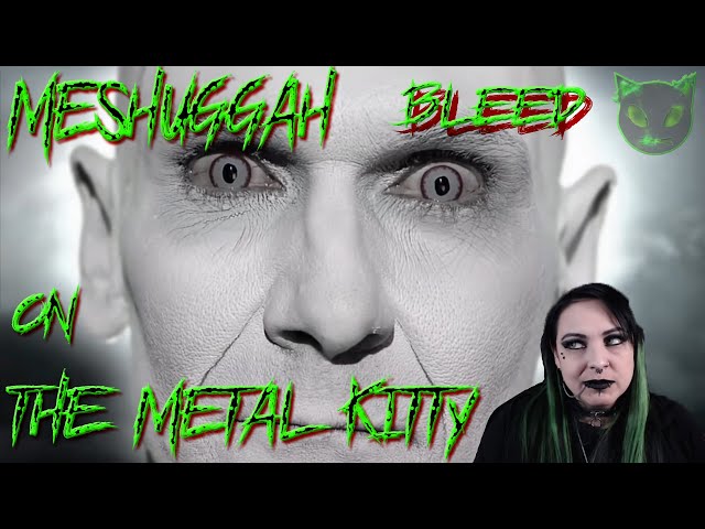 MESHUGGAH - BLEED - THE METAL KITTY REACTION VIDEO