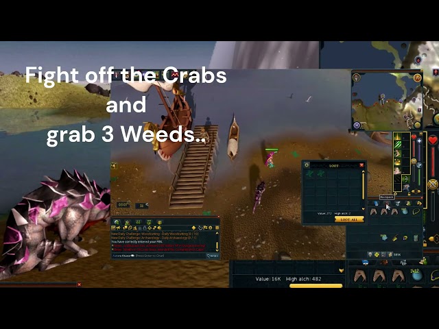 RS3 - Why Did the Lobster Blush - Quick Achievement Guide