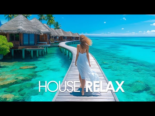 Deep Mood Radio • 24/7 Live Radio | Best Relax House, Chillout, Study, Running, Gym, Happy Music