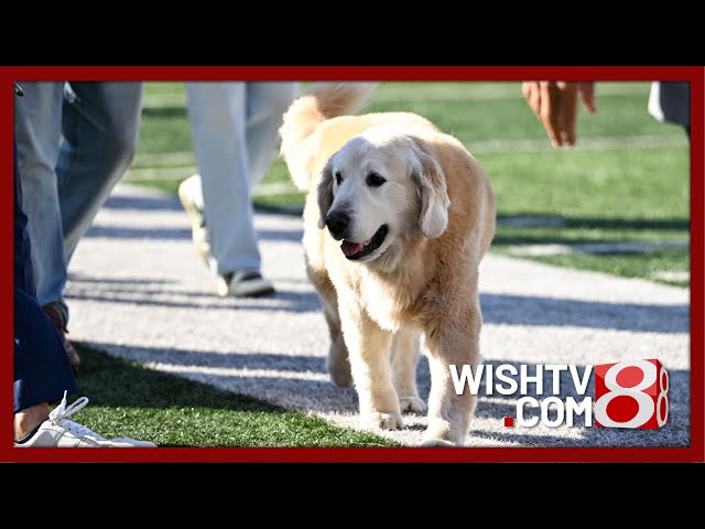 College GameDay host announces death of dog