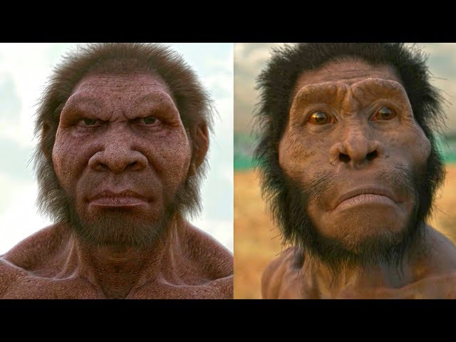 Homo naledi. Mysterious extinct human species. Animated film