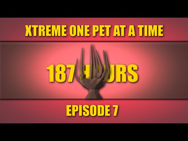 Xtreme One Pet At A Time - #7