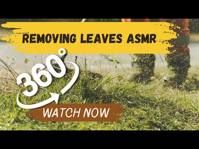 360° ASMR Yard Cleaning | Relaxing Leaf Raking in Virtual Reality 🌿🍂