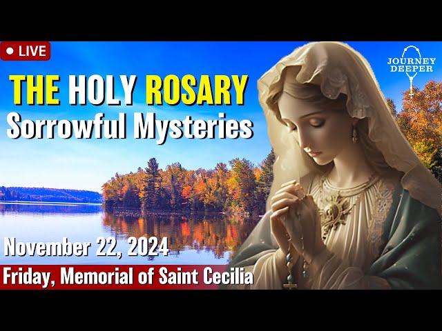 🔴 Rosary Friday Sorrowful Mysteries of the Rosary November 22, 2024 Praying together