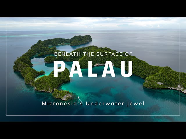 Beneath The Surface of Palau - Micronesia's Underwater Jewel | 4K HDR | 2024