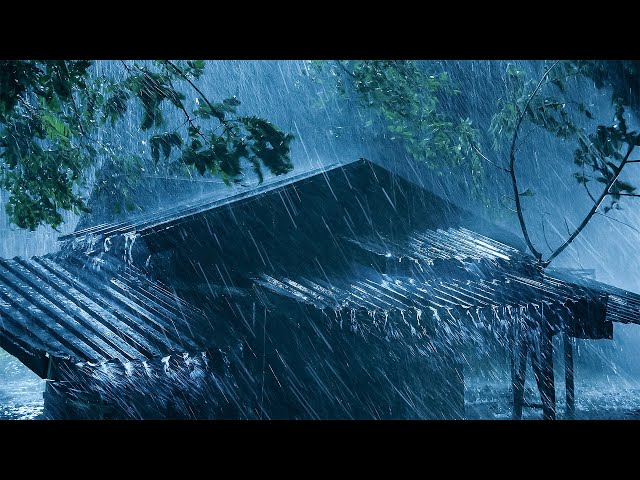 Heavy Rain Sounds for Sleeping - Howling Wind and  Thunderstorm Sounds to Deep Sleep, Relaxing